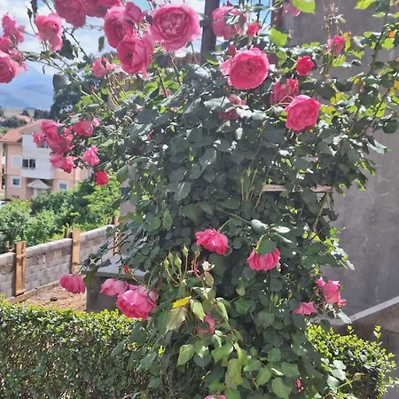 Διαμέρισμα Ruza *